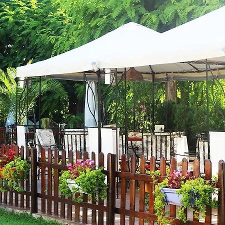 Delfin Hotel Nesebyr