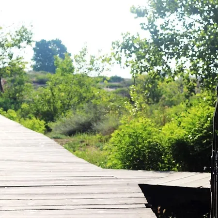 Hotel Delfin Sunny Beach