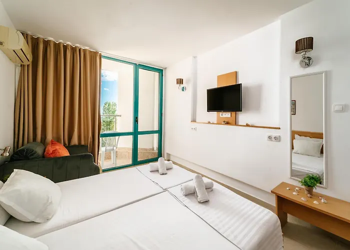 ホテル Delfin ネセバル